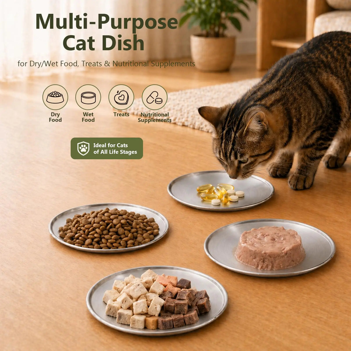 ChefBee Stainless Steel Whisker Friendly Shallow Cat Food Bowls