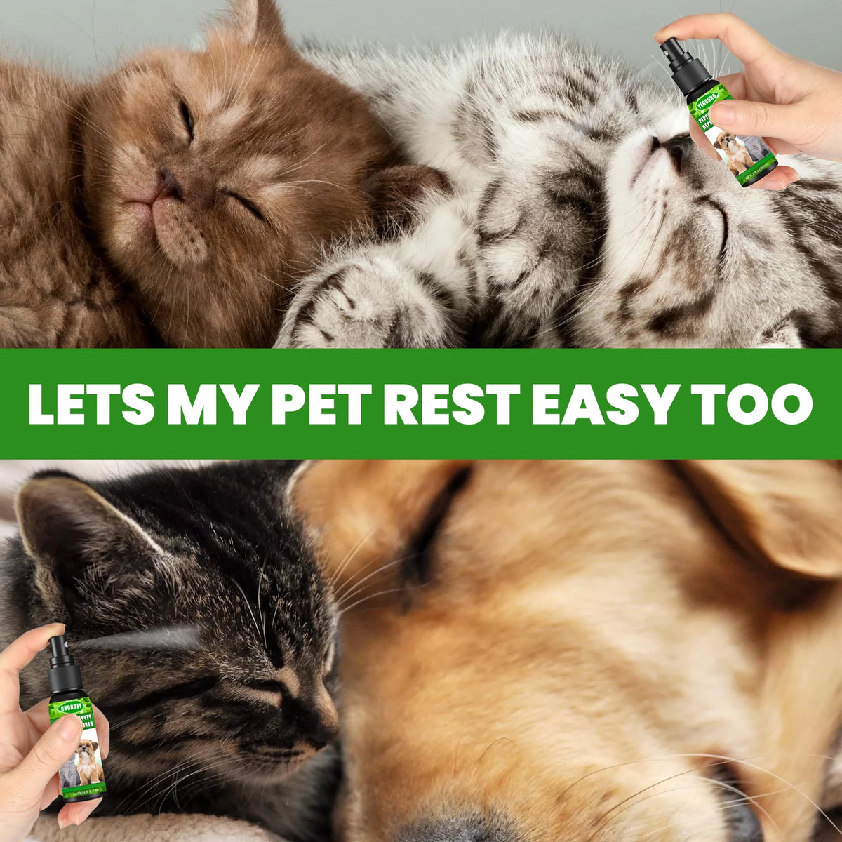 YEGBONG Mint Pet Flea Repellent Spray For Dogs And Cats