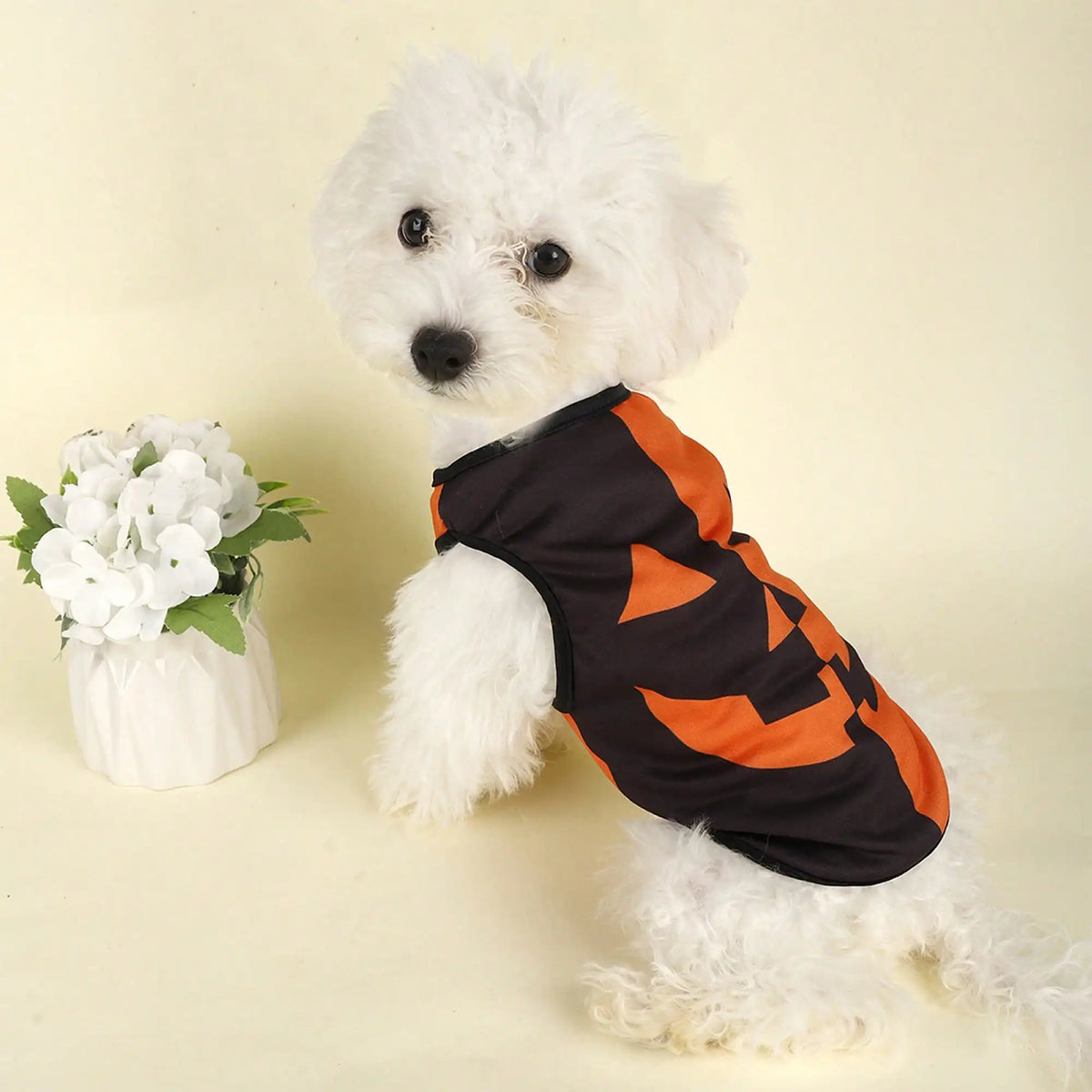 Pumpkin Print Dog Costume Shirt For Holiday Parties And Festivals