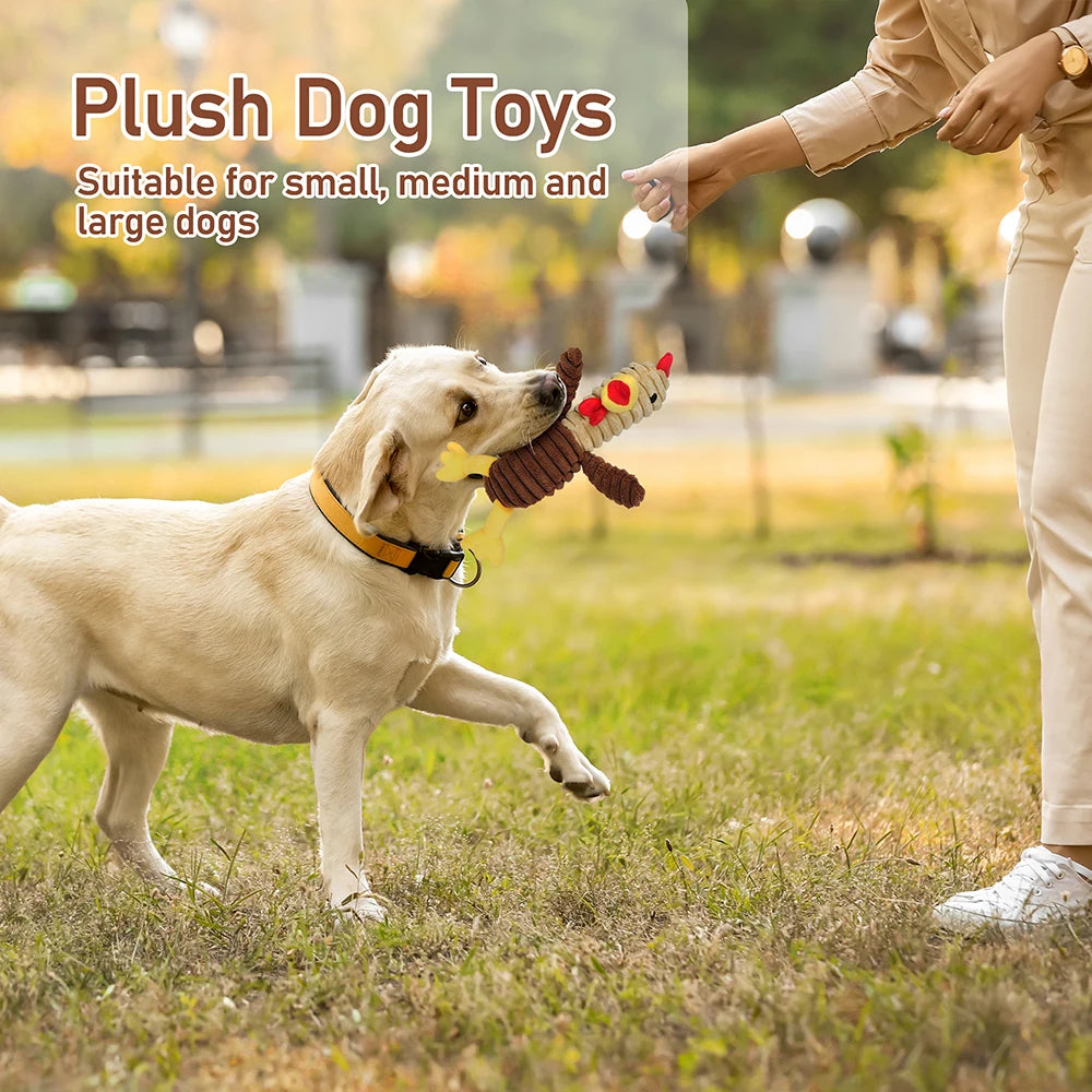 Plush Squeaky Dog Toys, Soft Stuffed Chewable Pet Toy Bundle