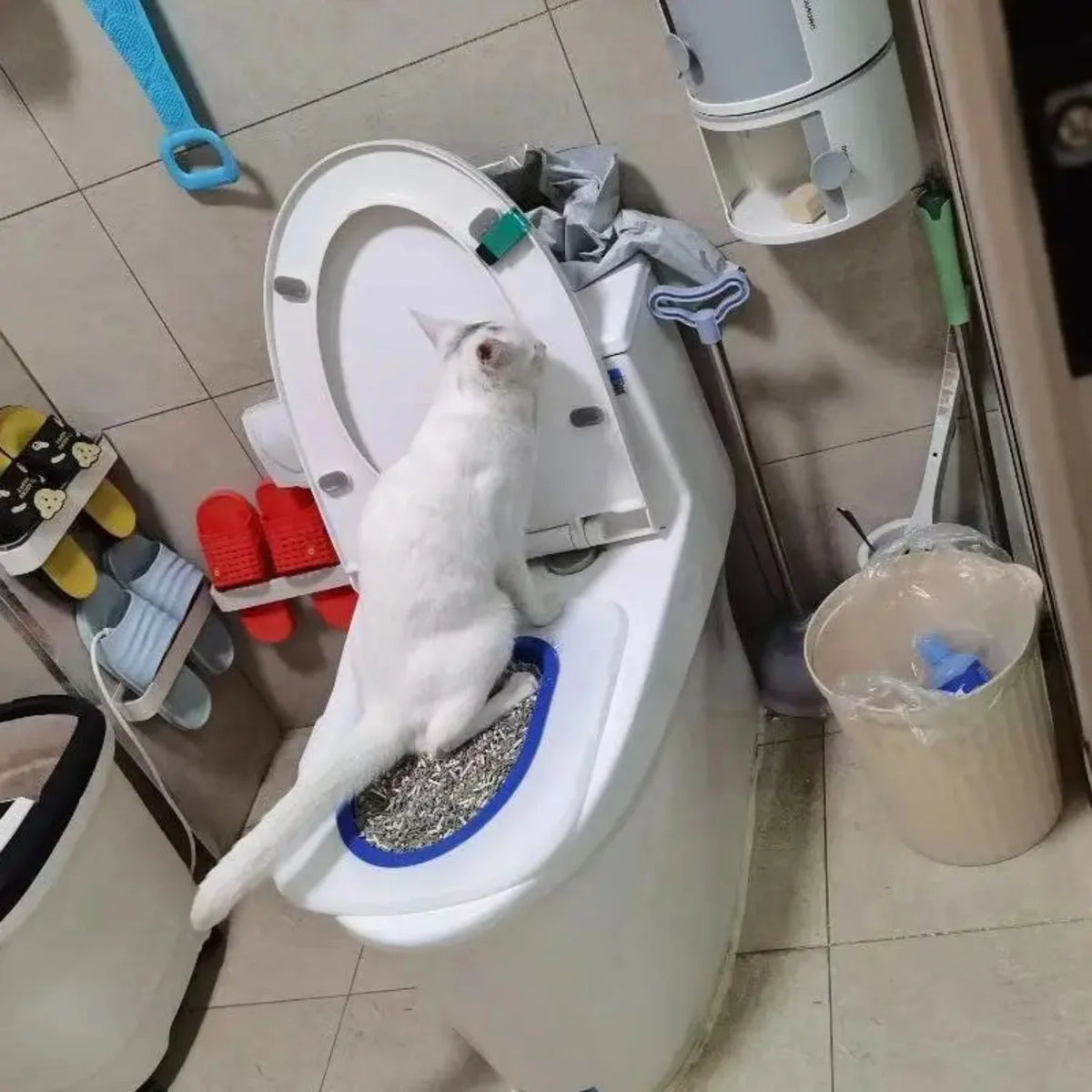 Reusable Cat Toilet Training Litter Box With Simple Installation