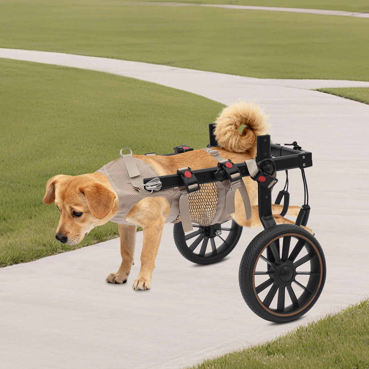 Bymaocar Dog Wheelchair Walking Aid for Senior and Disabled Dogs