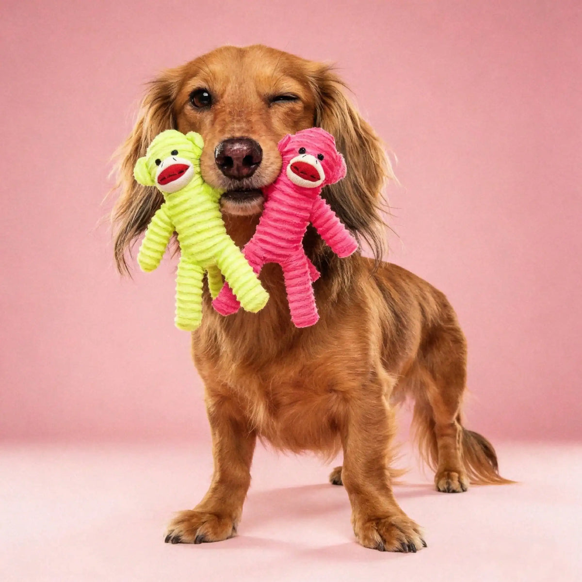 Armadillo Squeaky Plush Dog Chew Toy For Dental Play