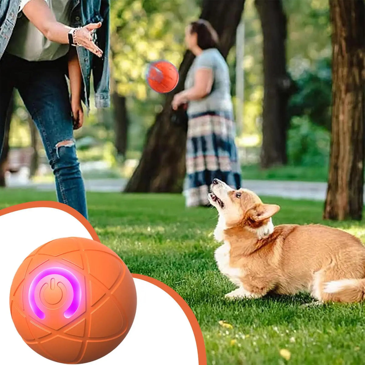 Interactive Plush Dog Toy For Aggressive Chewers Moving Ball