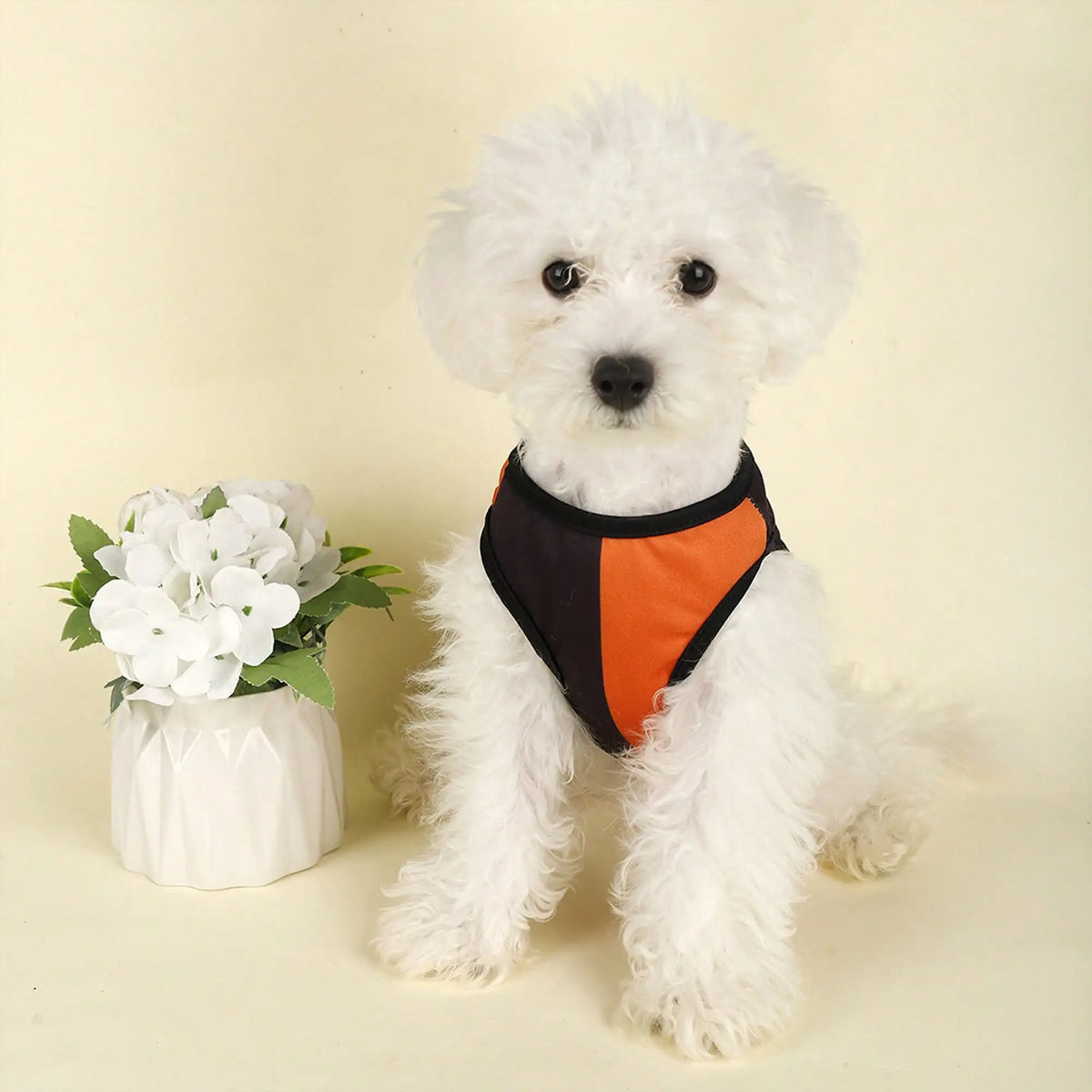 Pumpkin Print Dog Costume Shirt For Holiday Parties And Festivals