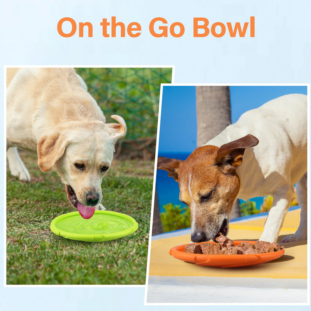 Natural Rubber Floating Flying Disc Dog Toy for Water Play