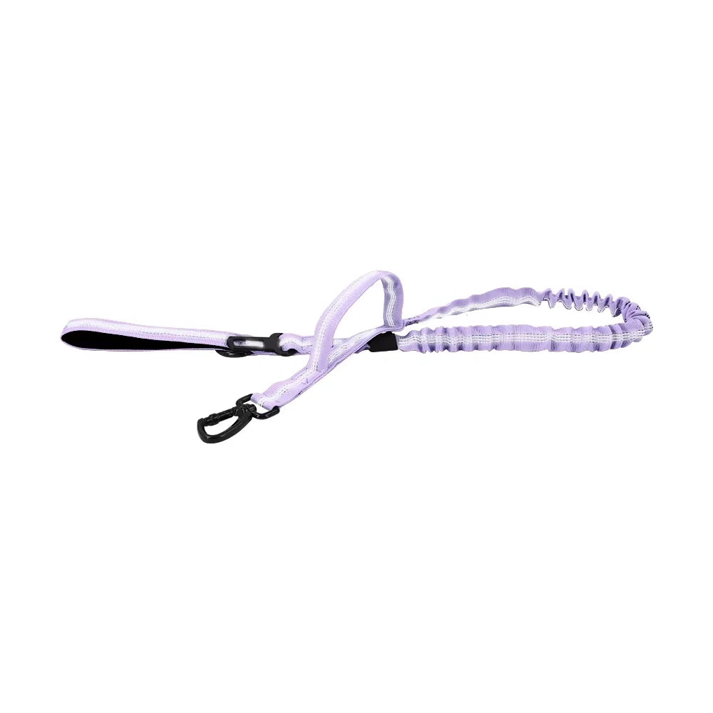 PETRAVEL Adjustable Dog Leash With Dual Handles Quick Release