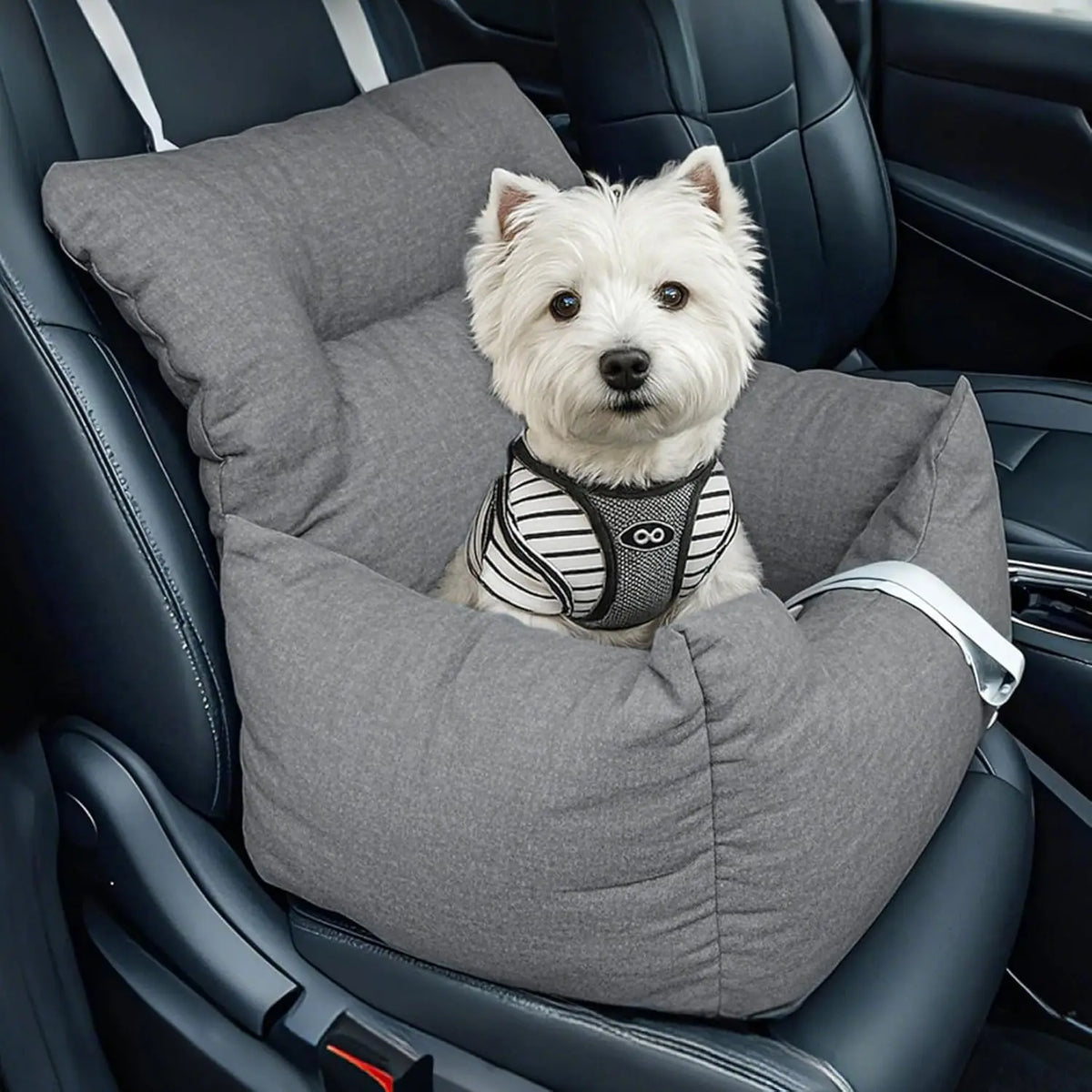 HiMISS Elevated Dog Car Booster Seat Bed With Safety Tether