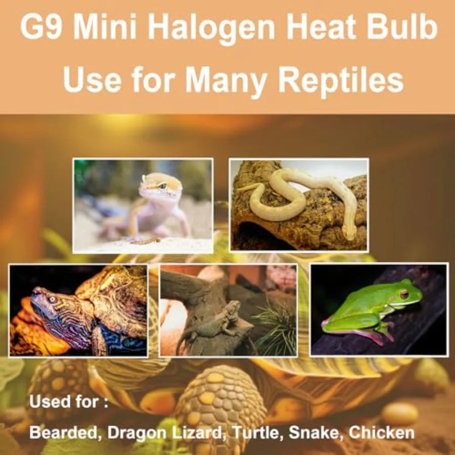 G9 Halogen Reptile Heat Lamp Bulb for Indoor Terrariums