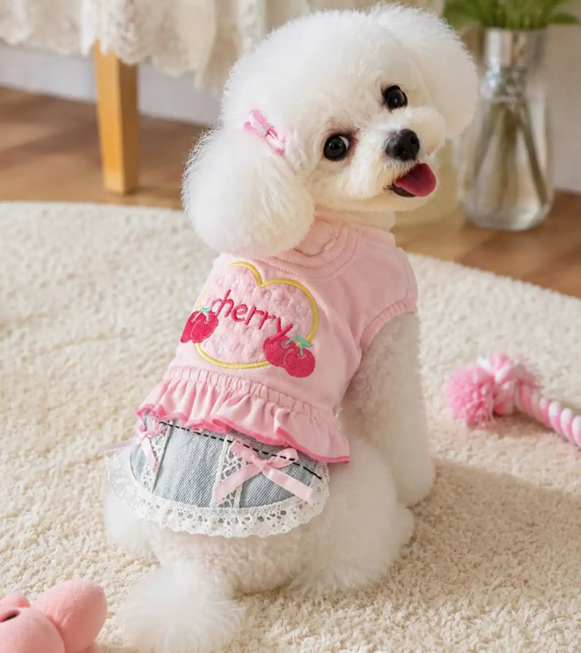 Dog Denim Skirt Vest Outfit for Walking and Outdoor Wear