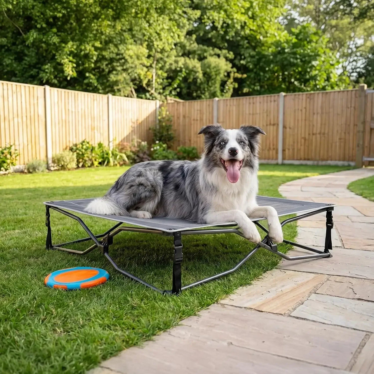Portable Elevated Cooling Dog Bed With Breathable Mesh