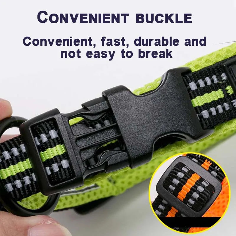 Winhyepet Comfort Padded Nylon Dog Walking Collar With Buckle