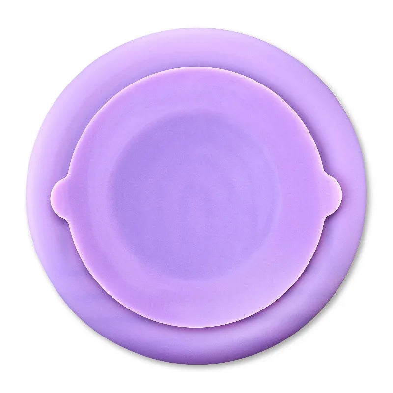 Silicone Slow Feeder Bowl for Pets Promotes Healthier Mealtimes