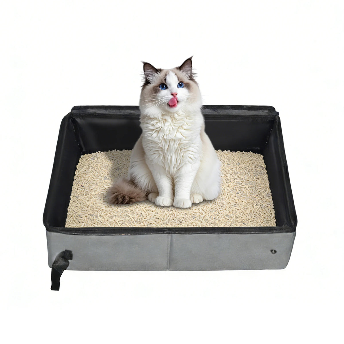 Foldable Cat Litter Box With Lid for Travel and Camping