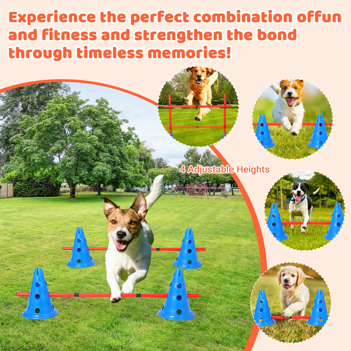 Dog Agility Hurdle Training Set With Adjustable Jump Heights