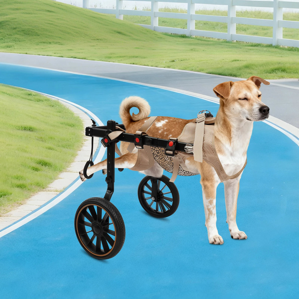 Bymaocar Dog Wheelchair Walking Aid for Senior and Disabled Dogs