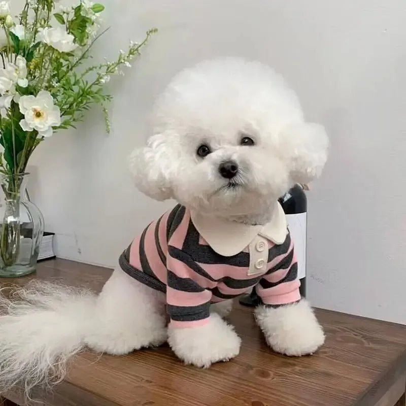 Comfortable Cotton Summer Polo Shirt for Dogs and Puppies