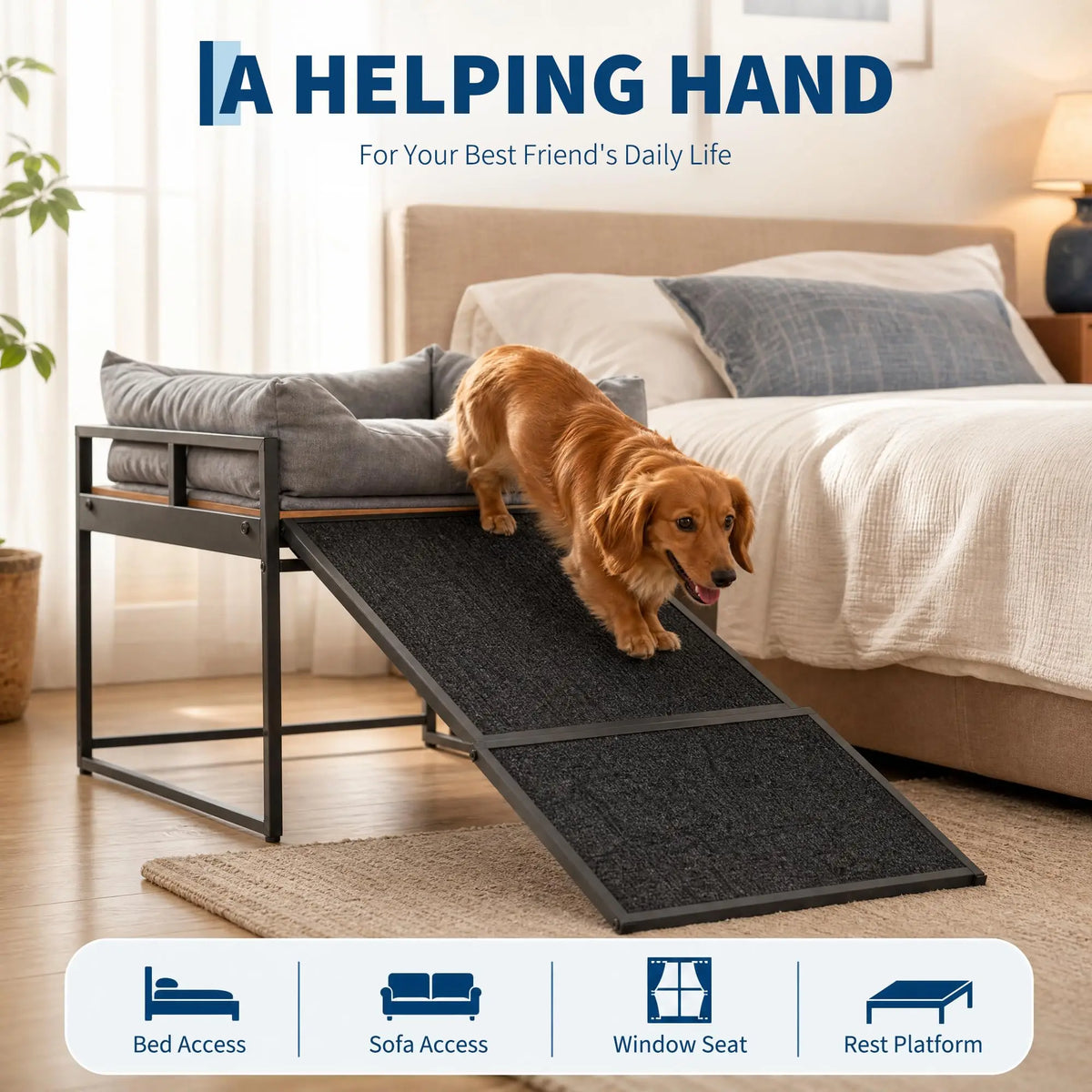 Elevated Dog Bed With Non Slip Ramp And Bolster Cushion