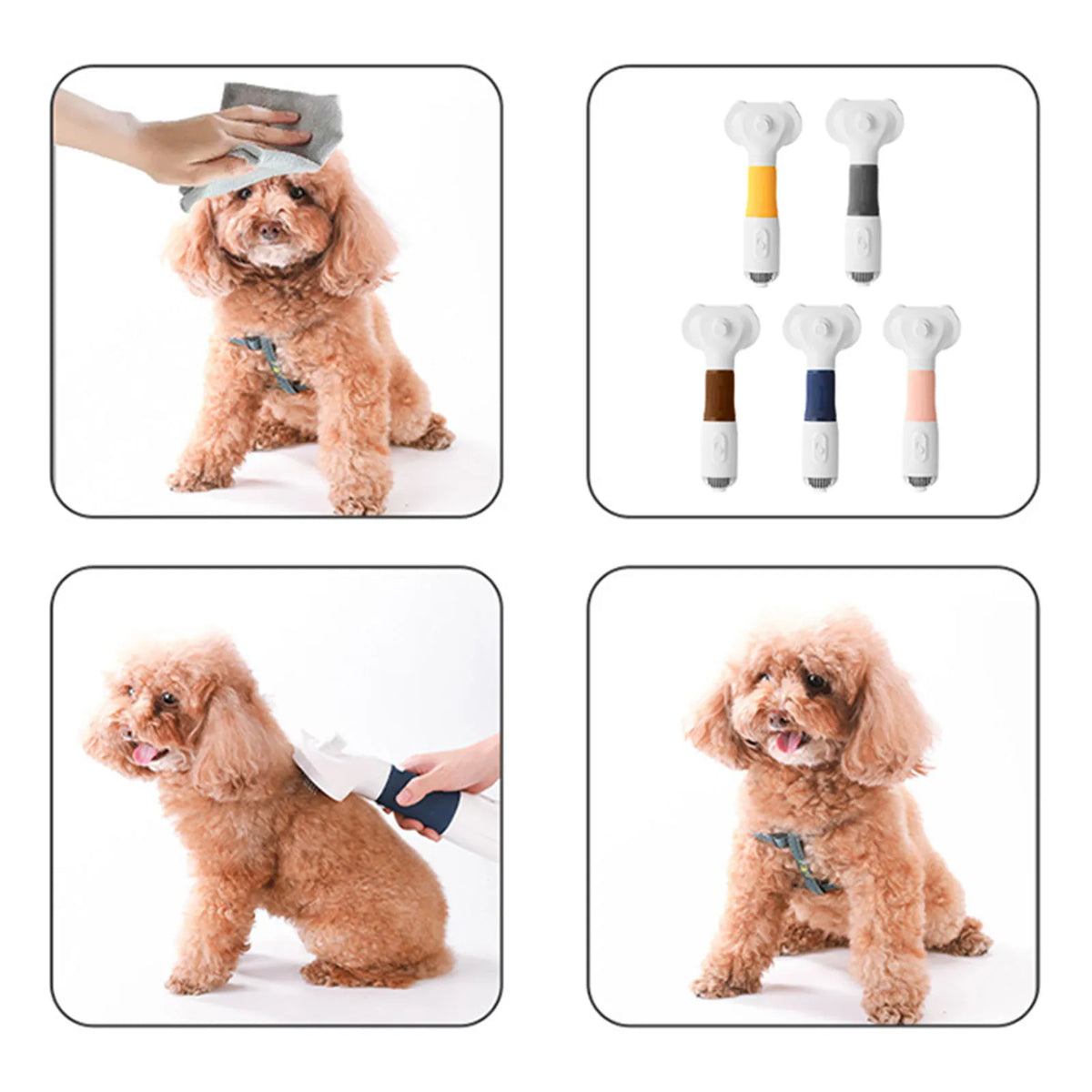 Pet Hair Dryer Brush for Dog and Cat Grooming Tool with Adjustable Temperature