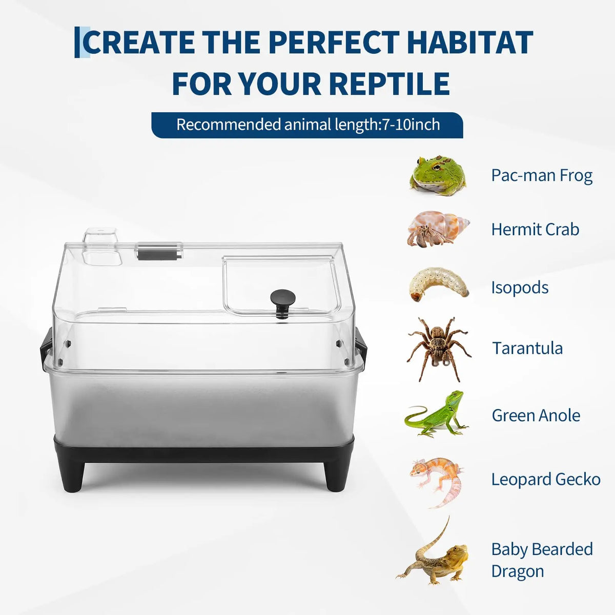 HiMISS Acrylic Reptile Terrarium Kit With Heating Pad And Accessories