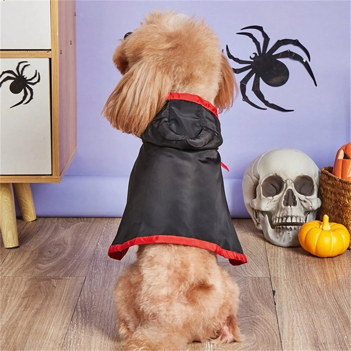 Halloween Pet Vampire Costume Cape With Devil Hat And Headband