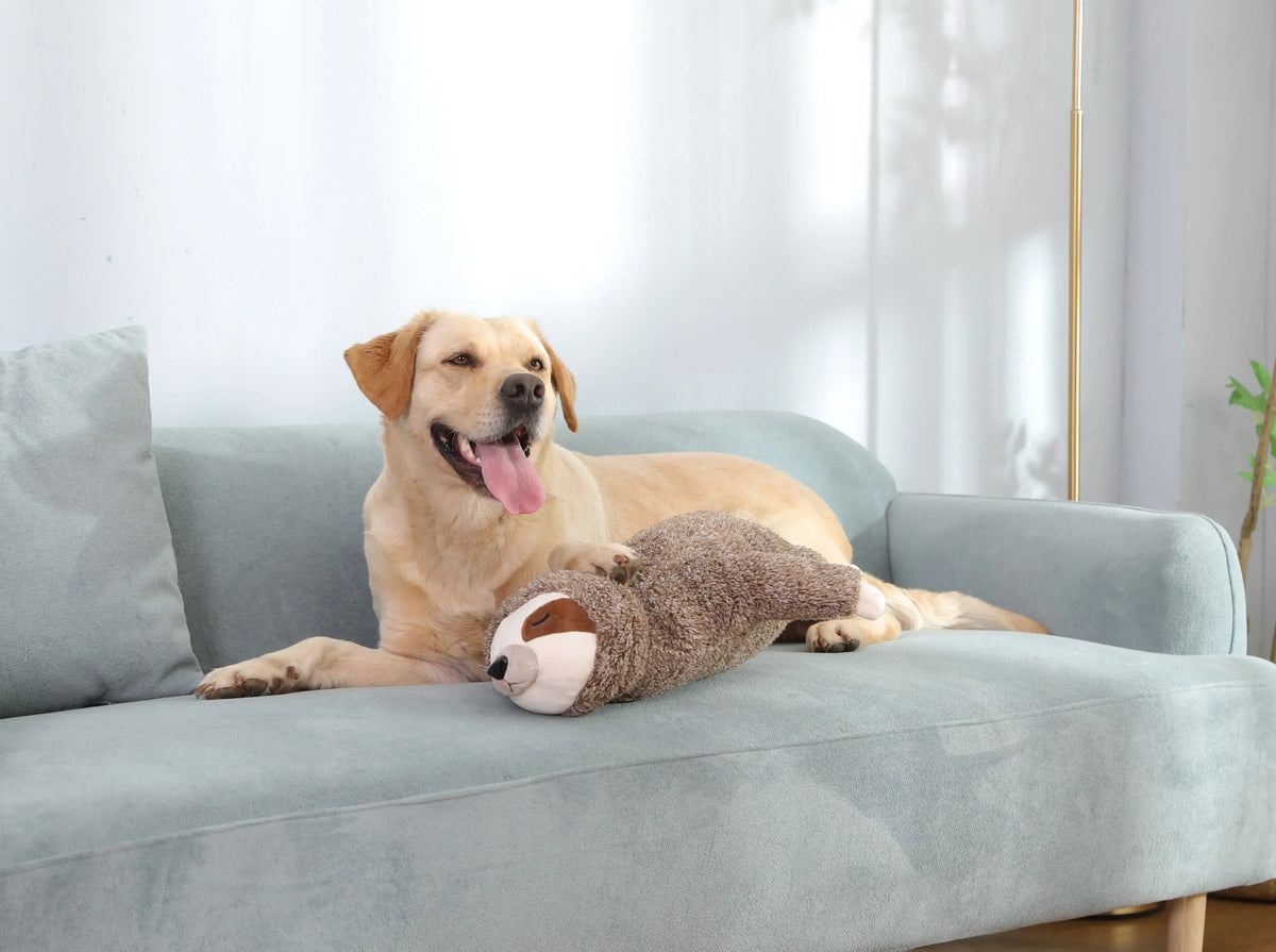 Heartbeat Puppy Sloth Plush Dog Toy for Calming Comfort