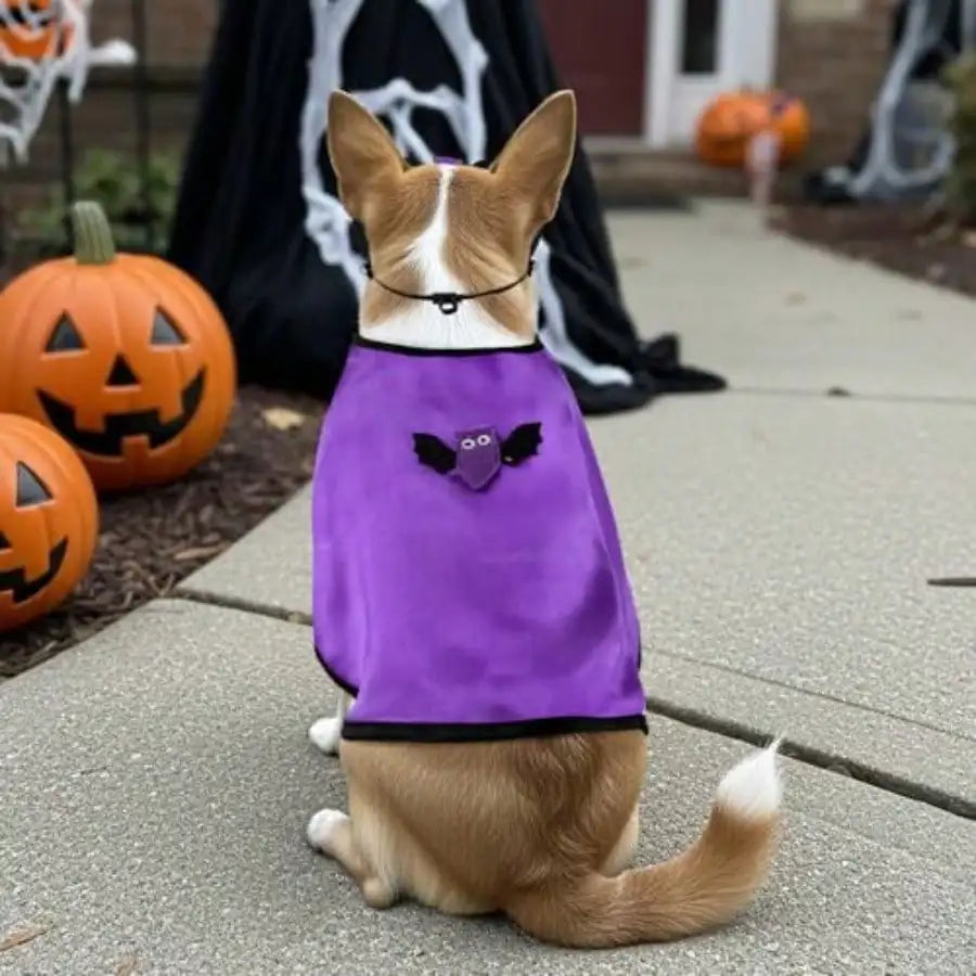 Pet Vampire Cape Costume With Bat Mask For Halloween Parties