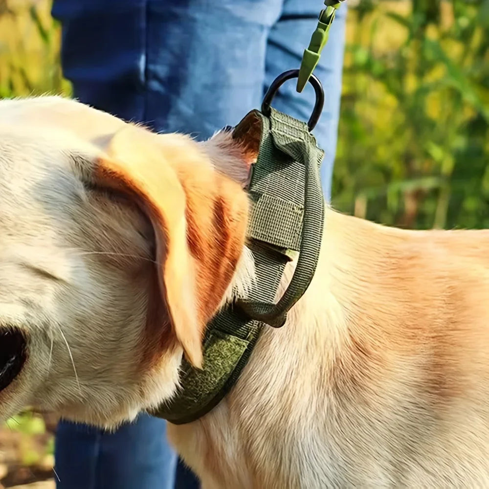 PETRAVEL Tactical Dog Harness And Collar Set For Outdoor Training