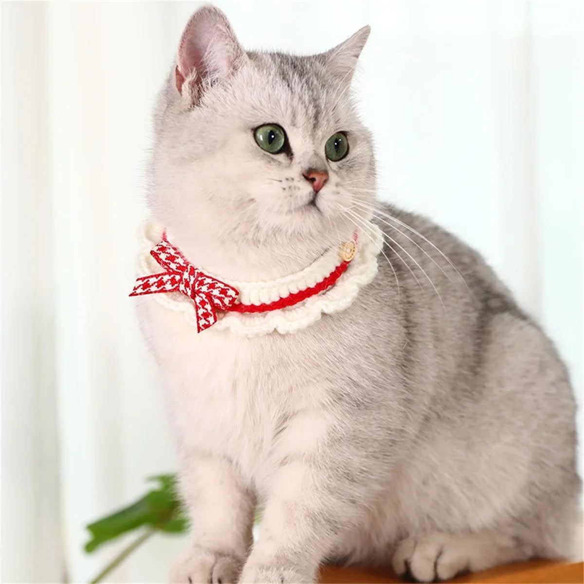 Hand Knitted Bow Knot Lace Pet Collar And Towel Set
