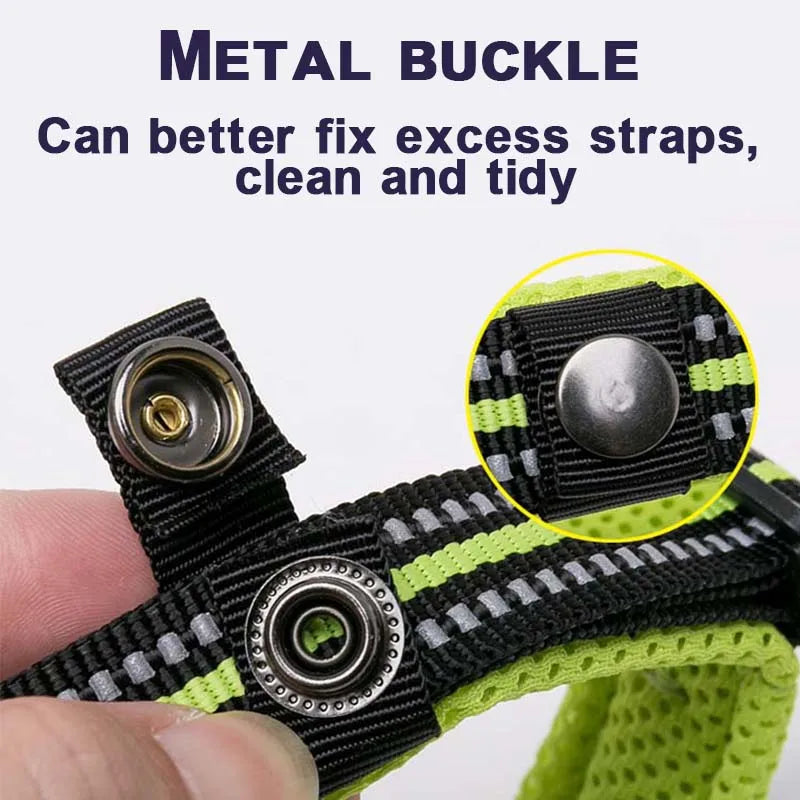 Winhyepet Comfort Padded Nylon Dog Walking Collar With Buckle