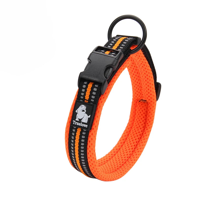 Winhyepet Comfort Padded Nylon Dog Walking Collar With Buckle