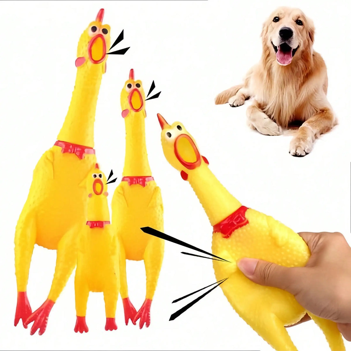 Screaming Chicken Squeaky Pet Toy For Dogs And Cats