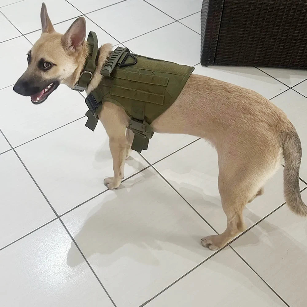 PETRAVEL Tactical Dog Harness And Collar Set For Outdoor Training