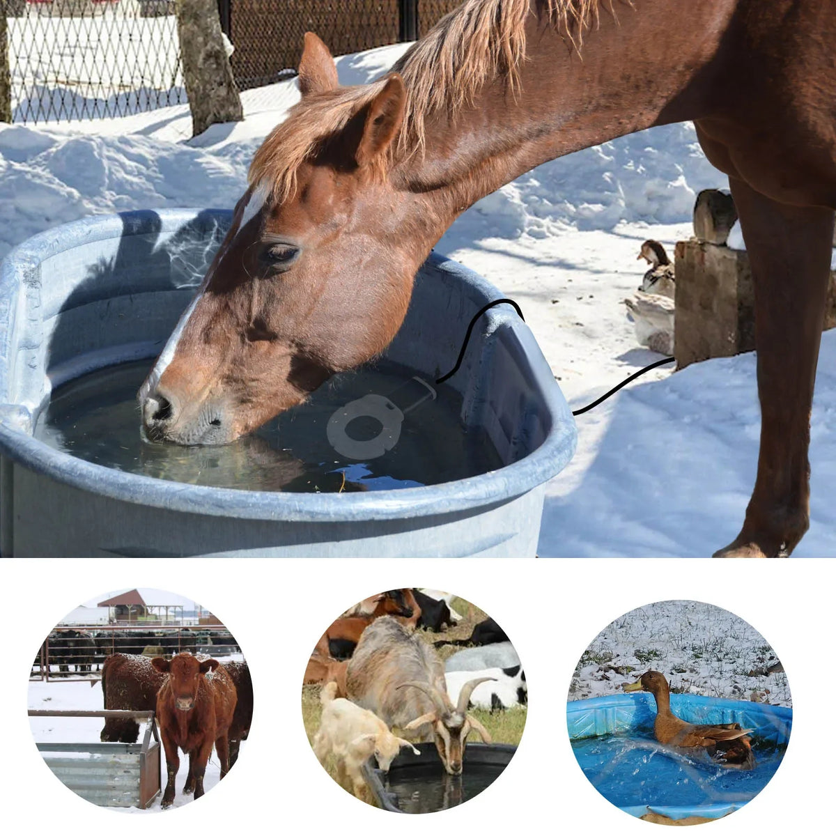 Thermostatic Submersible Bird Bath Heater De-Icer for Livestock Water