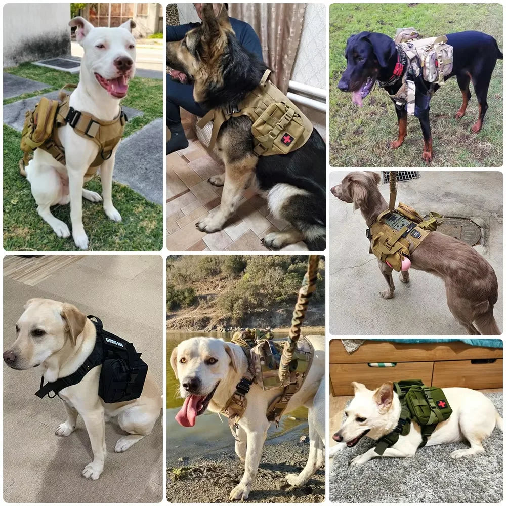 PETRAVEL Tactical Dog Training Pouches With MOLLE Harness Attachment