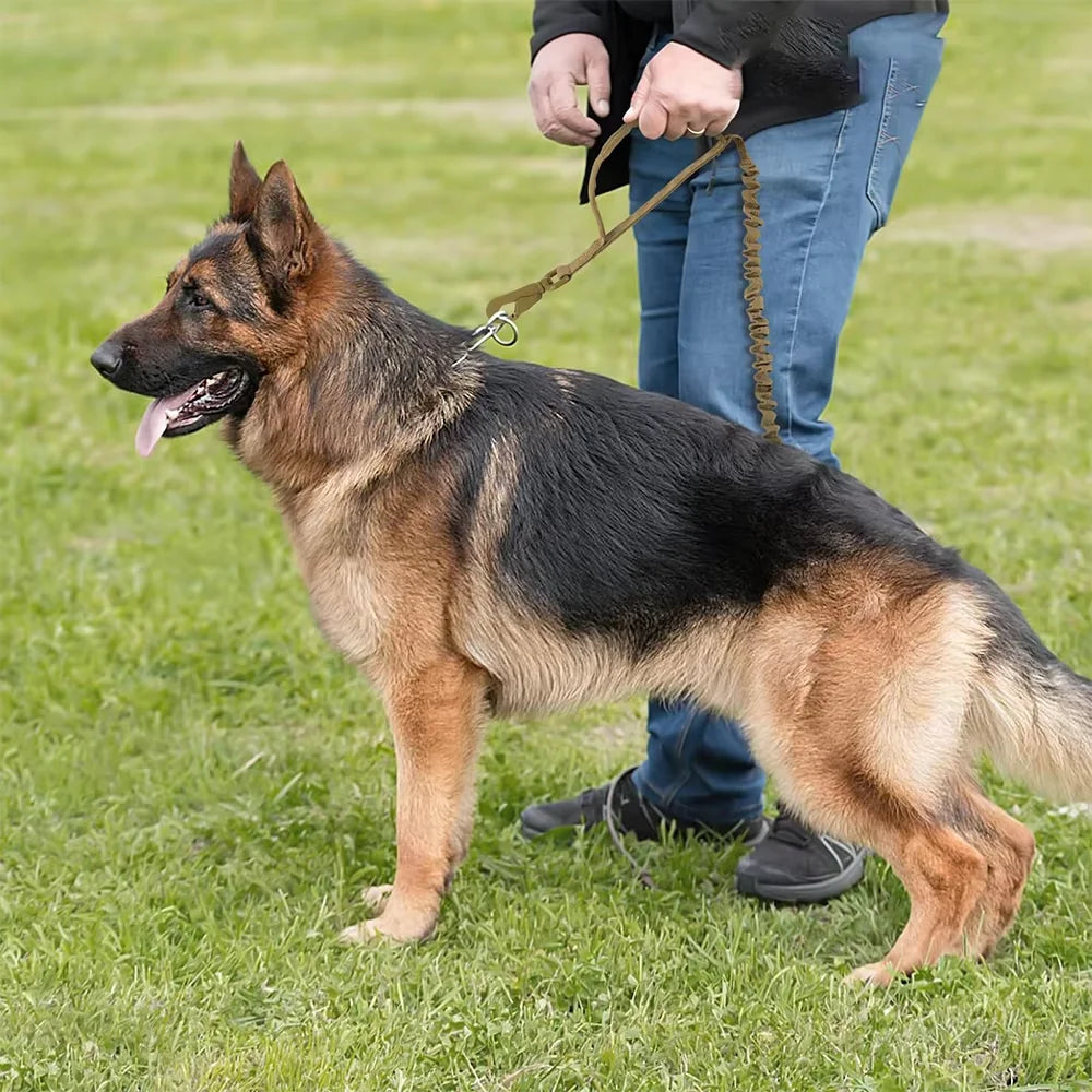PETRAVEL Adjustable Dog Leash With Dual Handles Quick Release