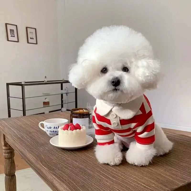 Comfortable Cotton Summer Polo Shirt for Dogs and Puppies