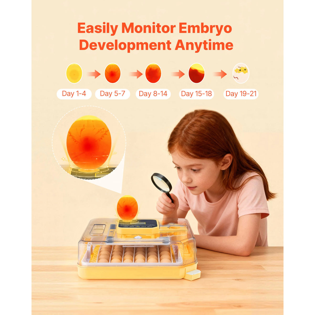 Egg Incubator With LED Candler Temperature Display And Humidity Control