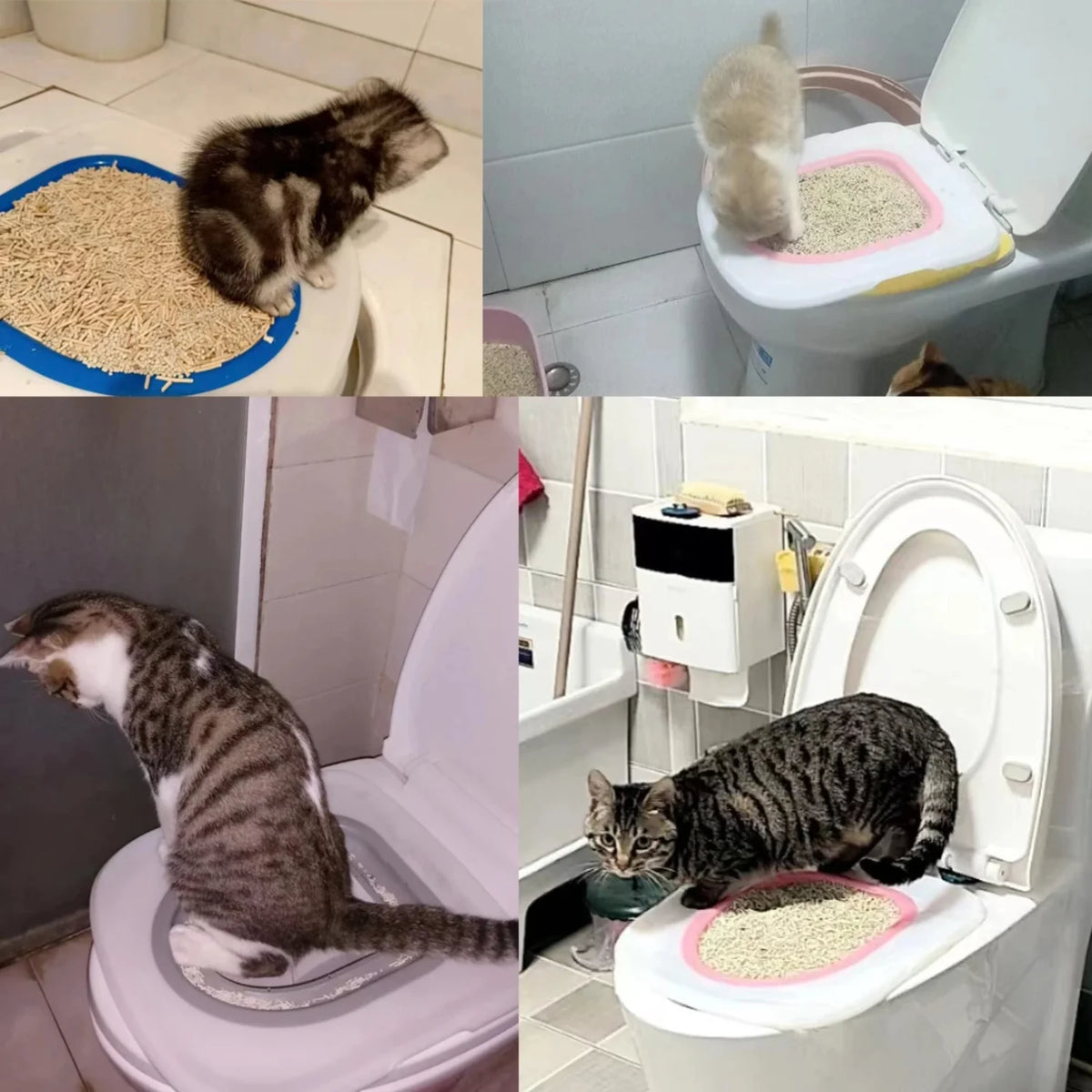 Reusable Cat Toilet Training Litter Box With Simple Installation