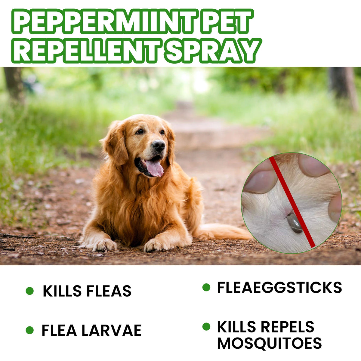 YEGBONG Mint Pet Flea Repellent Spray For Dogs And Cats