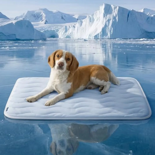 Bedsure Cooling Dog Mat With Breathable Washable Fabric
