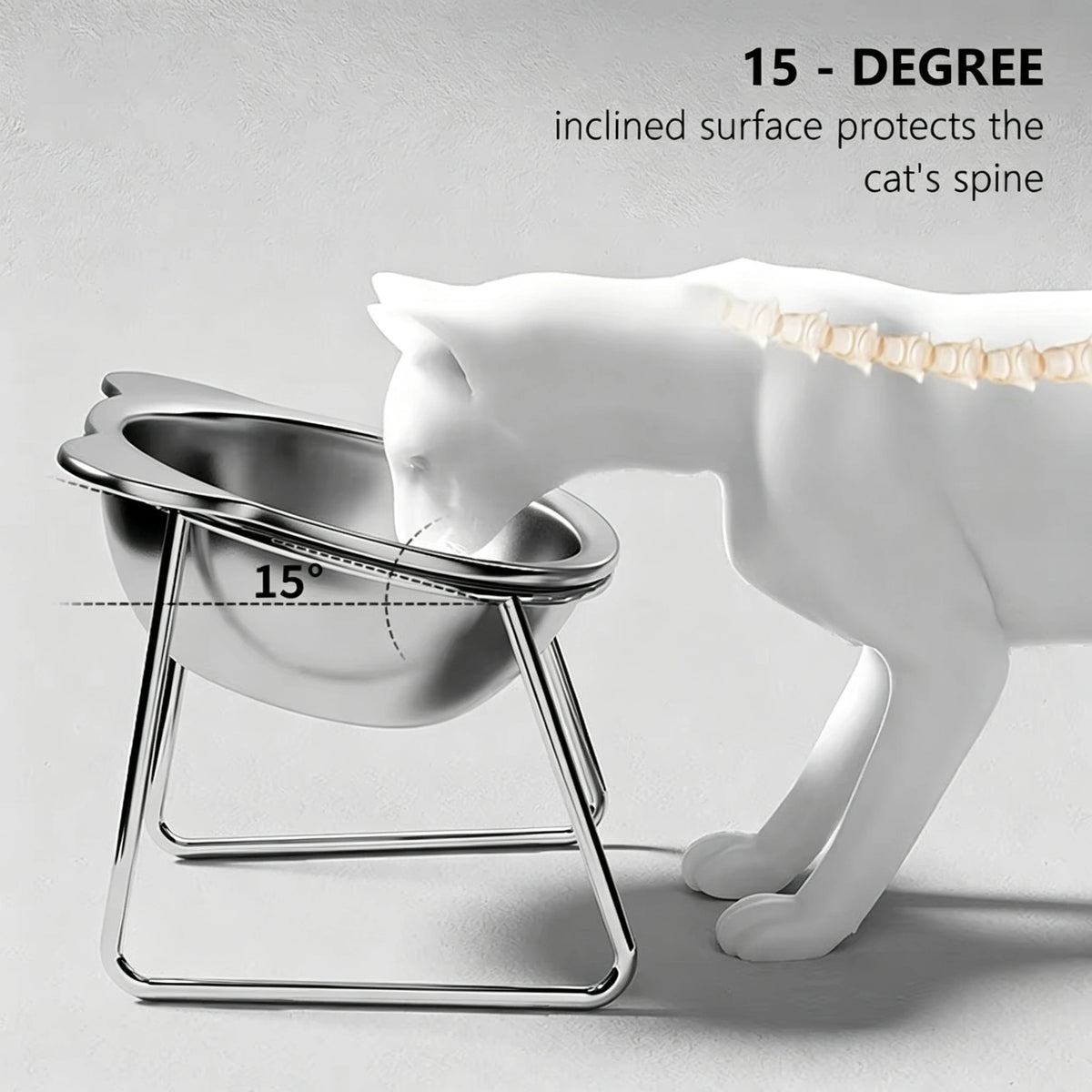 Elevated Stainless Steel Cat Bowl With Tilted Neck Guard