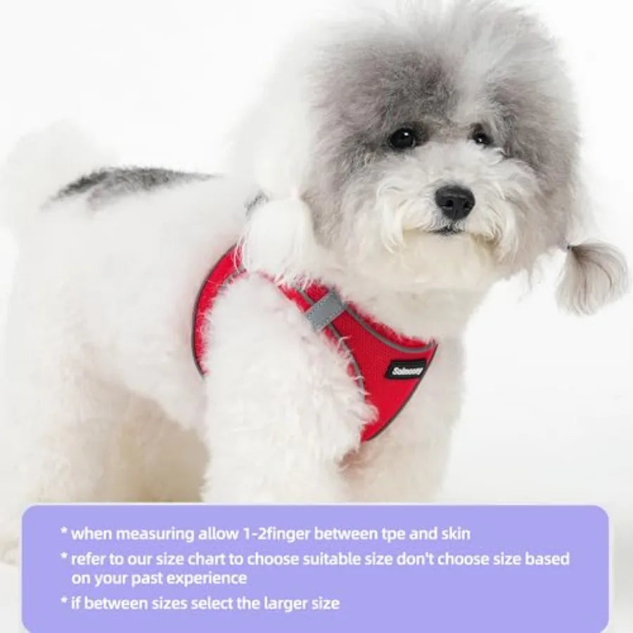 Sparkly Step In Dog Harness And Leash Set Reflective Vest