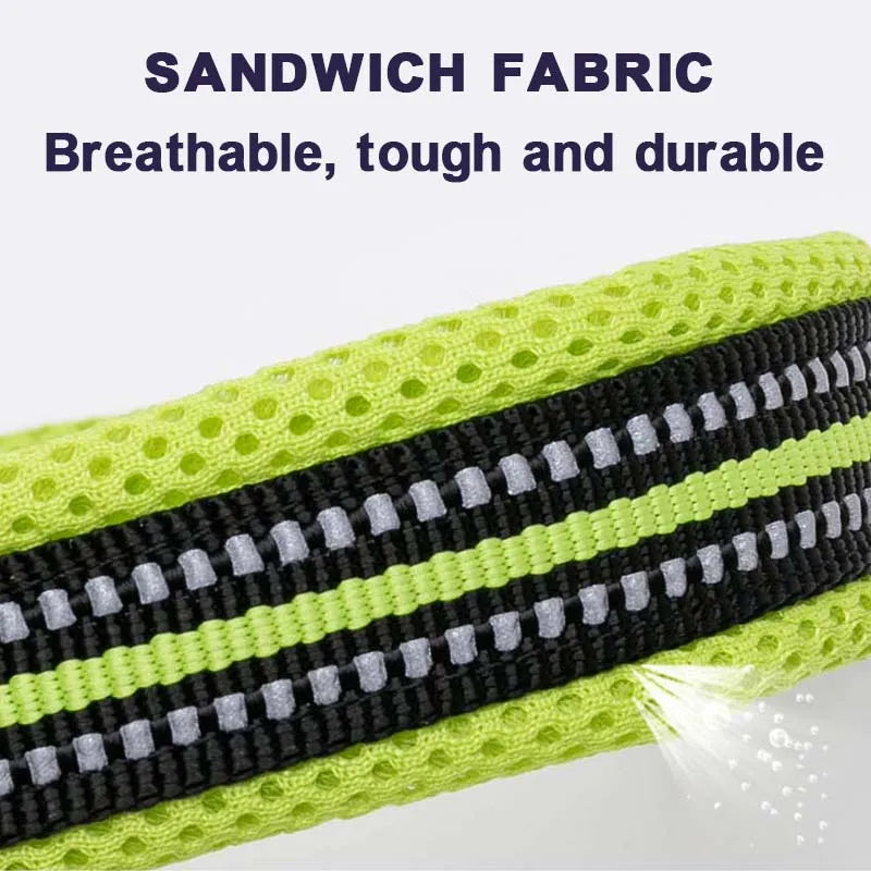 Winhyepet Comfort Padded Nylon Dog Walking Collar With Buckle