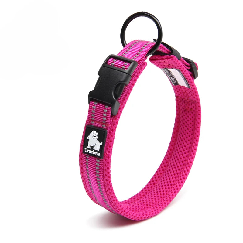 Winhyepet Comfort Padded Nylon Dog Walking Collar With Buckle