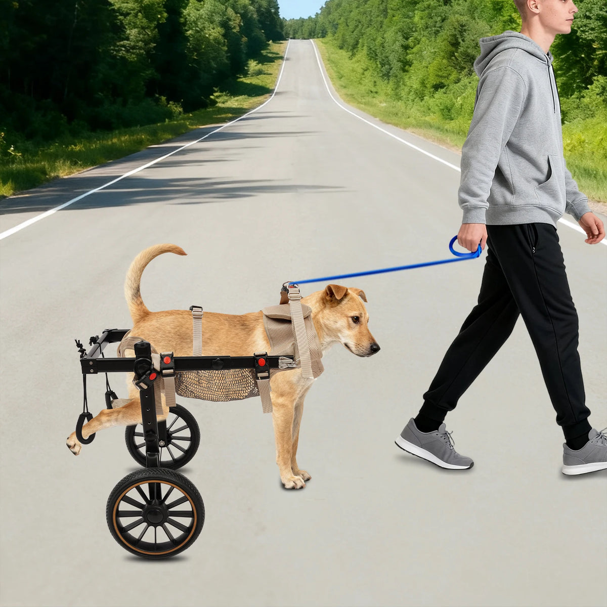 Bymaocar Dog Wheelchair Walking Aid for Senior and Disabled Dogs