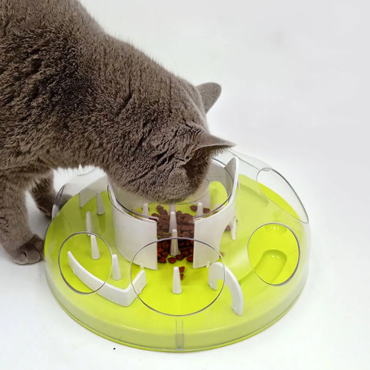 Interactive Cat Puzzle Feeder Toy for Enrichment and Exercise
