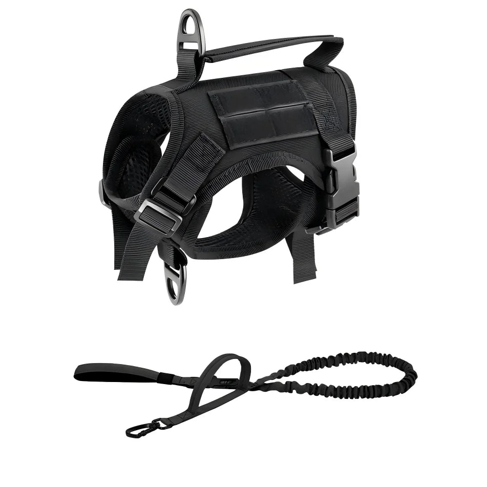 PETRAVEL Tactical Cat Harness And Leash Set For Outdoor Walking