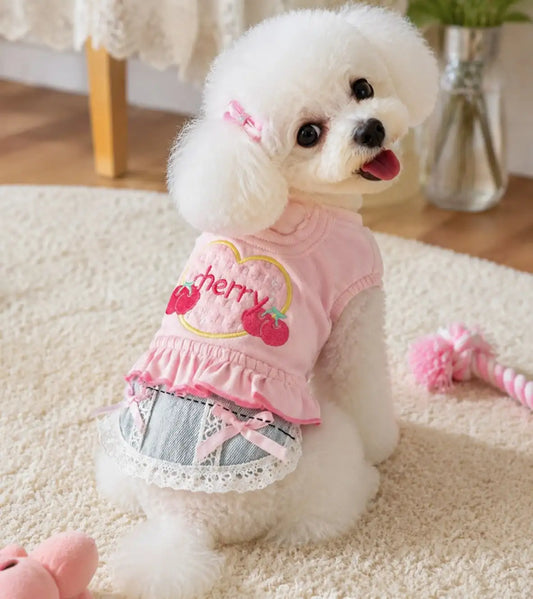 Dog Denim Skirt Vest Outfit for Walking and Outdoor Wear