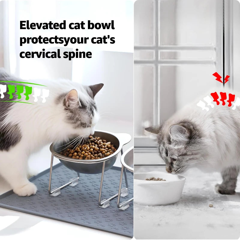 Elevated Stainless Steel Cat Bowl With Tilted Neck Guard